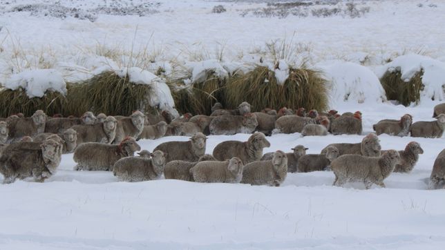 rio negro: insisten por retenciones cero a jugos y lana