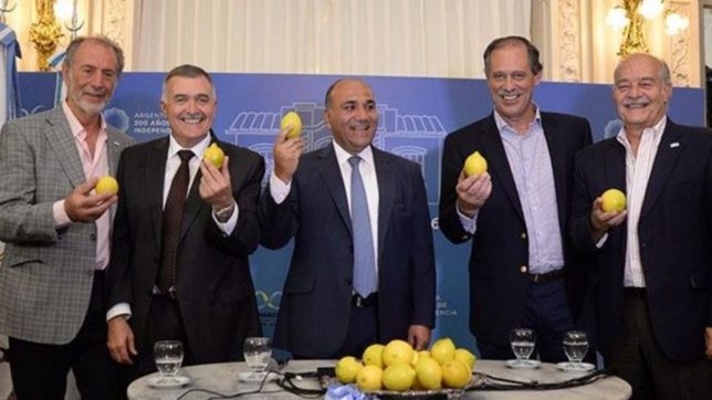 los duenos del limon: quienes concentran los u$s 550 millones que mueve tucuman