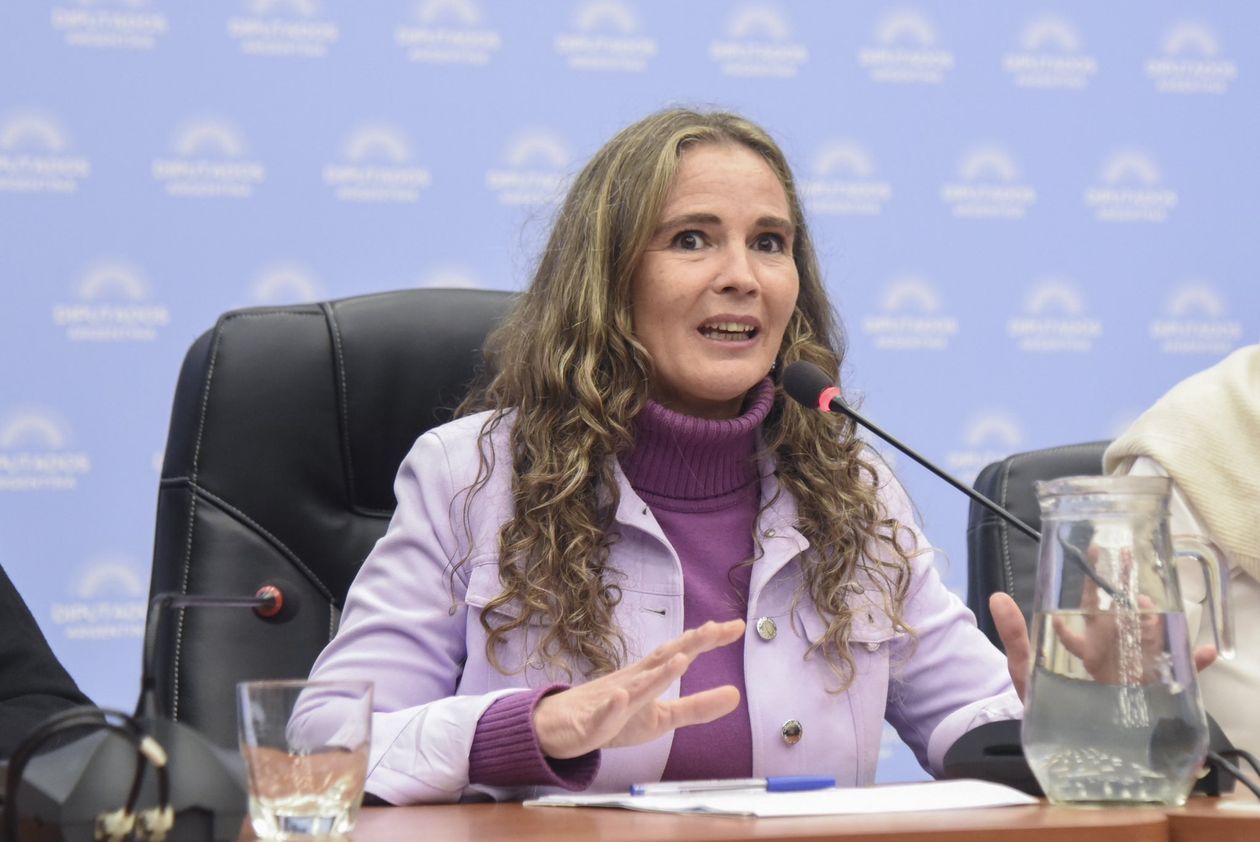 La diputada Victoria Morales Gorleri, sin banca.