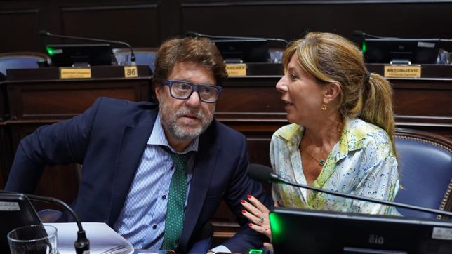 Diego Garciarena y Silvina Vacarezza, UCR+Cambio federal