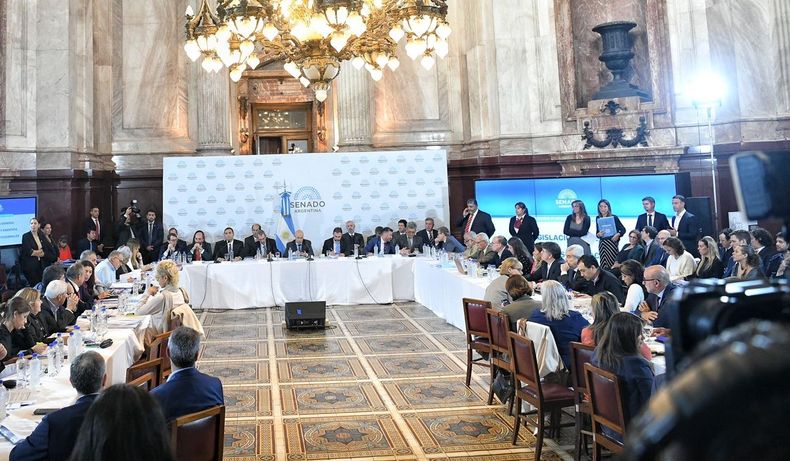 Santa Fe pelea en el Senado por cambios en el RIGI