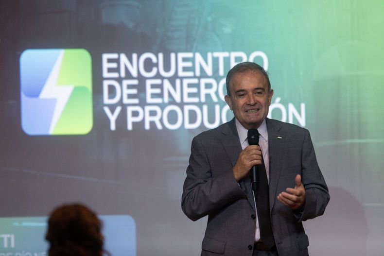 El Vicegobernador, Pedro Pesatti, en un foro de energía