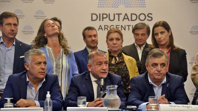 magistratura: juez y schiavoni reclamaron ante la justicia asumir como consejeros