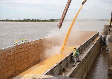 Cerealeras, entre el ausentismo sin tope y el lobby por medidas sanitarias