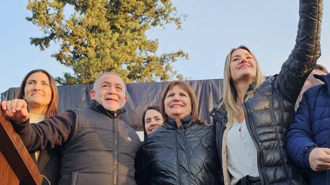 de paloma a halcon, el cambio de plumaje de juez