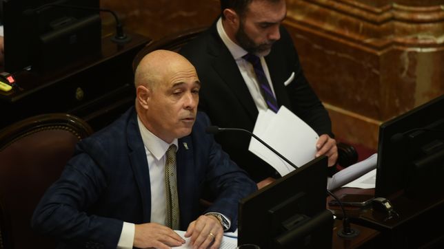 Bartolomé Abdala y Ezequiel Atauche (La Libertad Avanza), claves para el destino de Ficha limpia. 