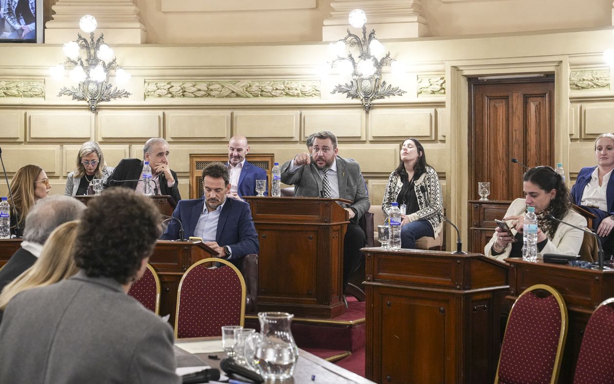 Declaraciones_Derechos_Garantías-19