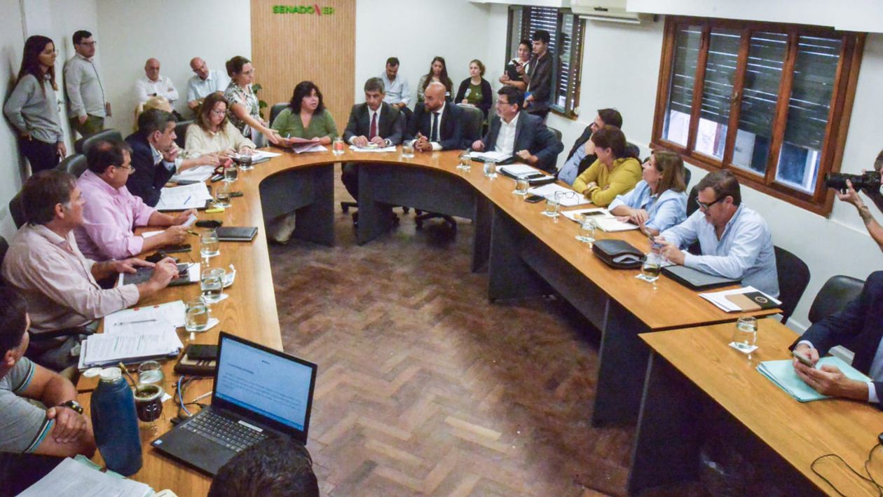 Plenario de comisiones en el Senado de Entre Ríos, donde comenzó a tratarse la creación de la nueva obra social para los estatales que propone Rogelio Frigerio.&nbsp;