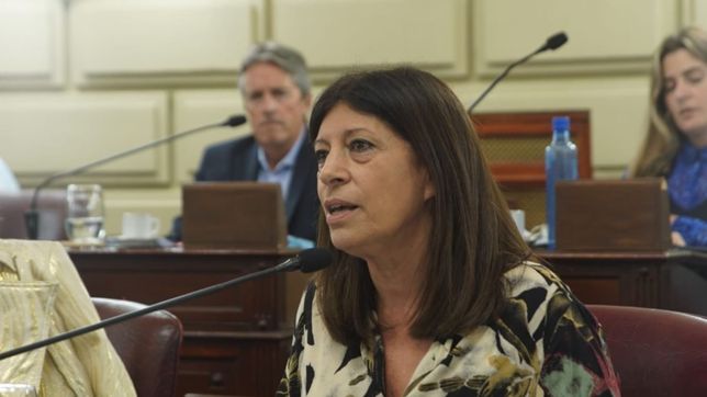 clara garcia recordo a lifschitz por la deuda de anses que recupera santa fe