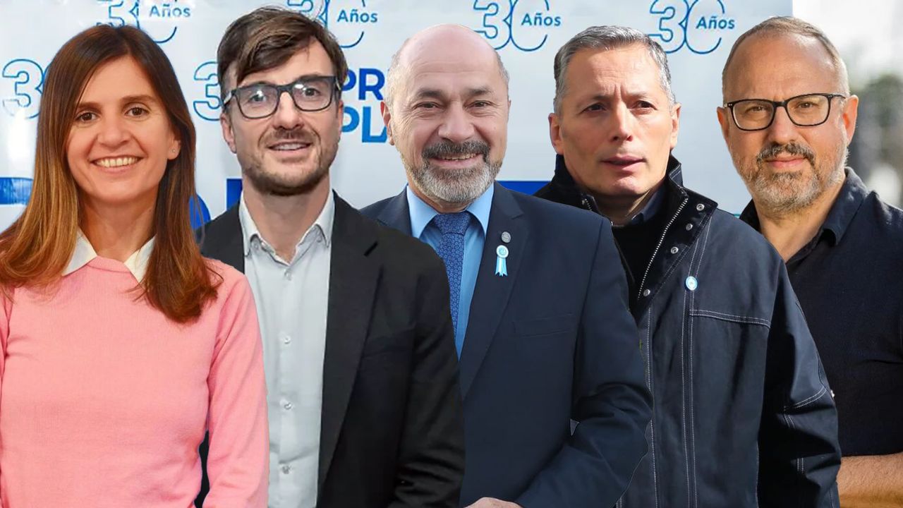 Fernanda Raverta - Lucas Ghi - Mario Secco - Fernando Grey - Diego Valenzuela. (Montaje).