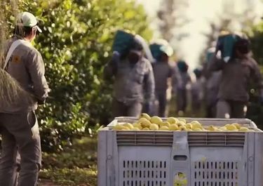 La brecha y la guerra ponen en jaque a la principal industria de Tucumán