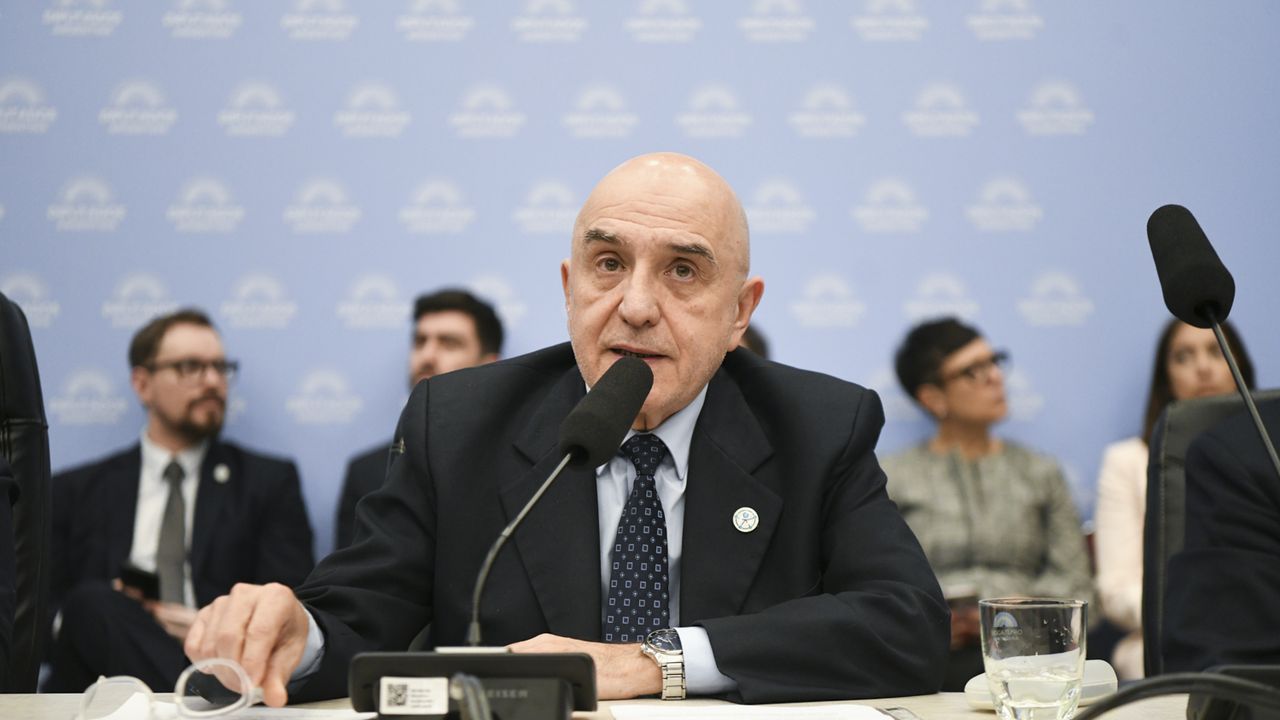 Alejandro Vilches, secretario de Discapacidad. El funcionario del Gobierno que expuso en Diputados.&nbsp;
