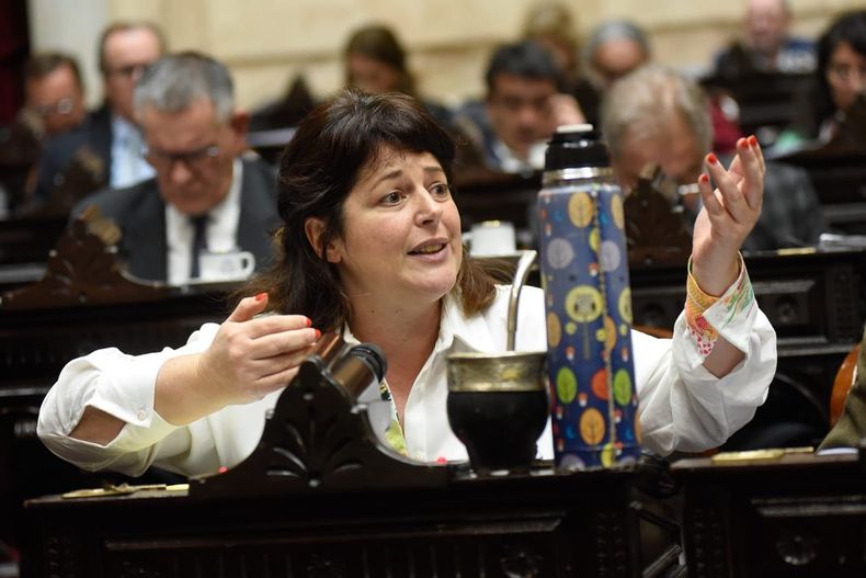 Carolina Gaillard en su banca de diputada. Laboriosa en el Congreso, hoy saca lustre a su cercanía al kirchnerismo para intentar repetir.&nbsp;
