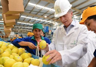 Limones amarillos: el Big Three del negocio al que le sacó el jugo el clan Macri