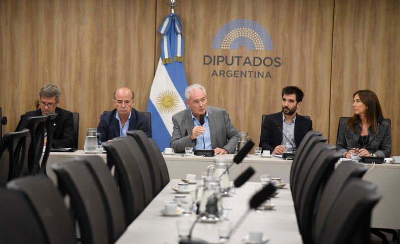La Comisión de Agricultura de Diputados, en debate sobre las retenciones que preocupa a Javier Milei.&nbsp;