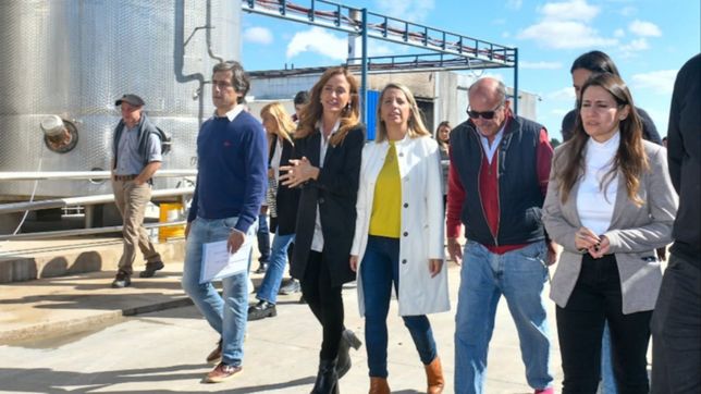 el camino albertista de stratta para ser la candidata de bordet