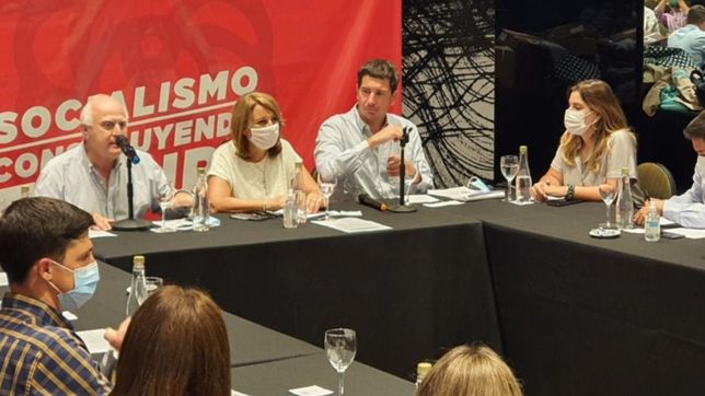 ?fein es la indicada para conducir la reforma profunda que necesita el ps?