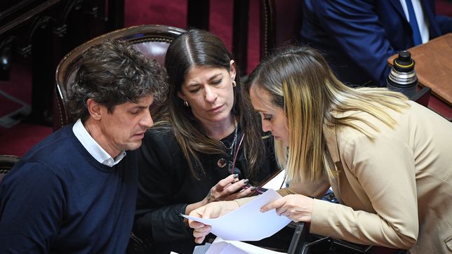 La oposición en el Senado.&nbsp;