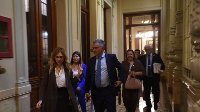 Sebastián Pareja con Lilia Lemoine, diputados cercanos a Karina Milei.&nbsp;