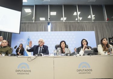 El bloque La Libertad Avanza, durante el plenario de Malvinas.&nbsp;