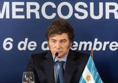 Javier Milei, presidente de la Nación.
