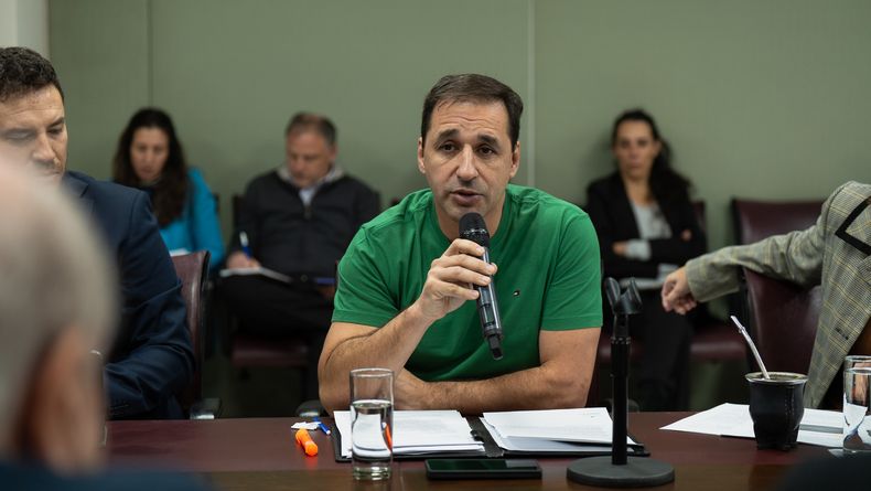 Claudio Dominguez, legislador del MPN. 