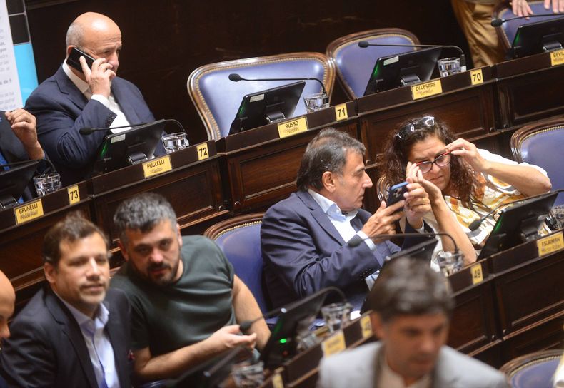Unión por la Patria en la Cámara de Diputados.