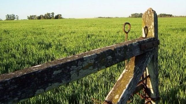 presupuesto ba: pequenos productores piden politicas tributarias diferenciadas