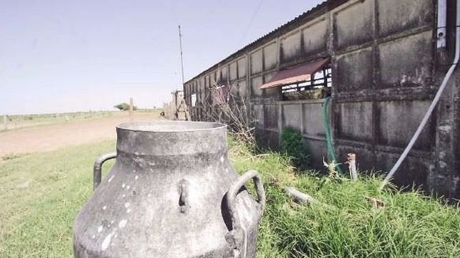 lecheria en crisis: ?el estado se tiene que poner los pantalones y empezar a sancionar?