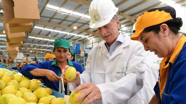 limones amarillos: el big three del negocio al que le saco el jugo el clan macri
