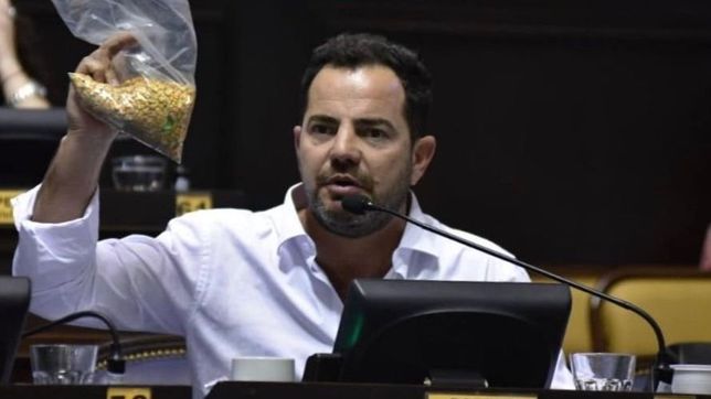 tras algunos cruces politicos, avanza el proyecto para atenuar la crisis porcina