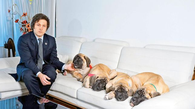 Javier Milei y sus perros. Alberto Fernández sugirió que el Presidente padece alteraciones psicológicas. 
