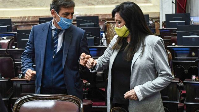 presupuesto 2021: jxc podria repetir en el senado la grieta de diputados