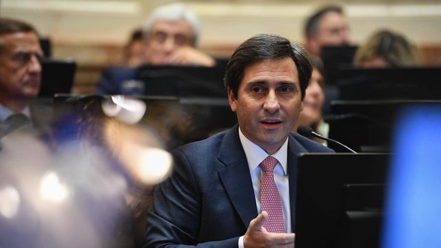 Martín Goerling Lara, senador del PRO, el bloque de Mauricio Macri, que promueve Ficha Limpia.&nbsp;