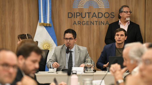 Santiago Pauli, diputado de La Libertad Avanza.&nbsp;