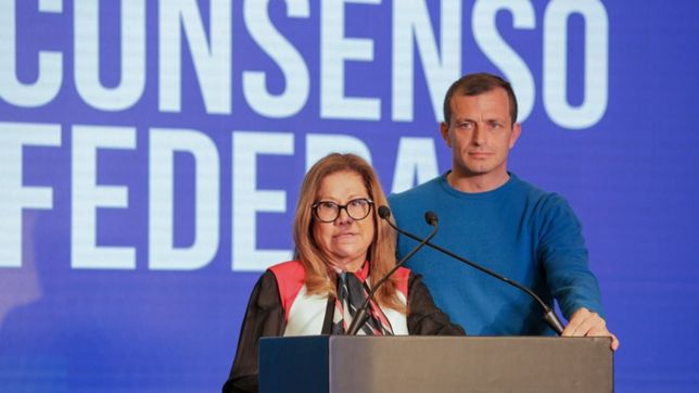 camano: ?no esperen que nos vinculemos al kirchnerismo?