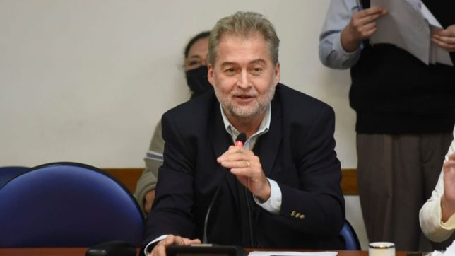 mirabella tambien pega por los subsidios: todo queda en mano de buenos aires