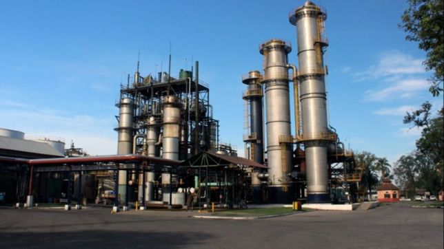 el empujon al biodiesel dejo un sabor agridulce en las empresas de cordoba