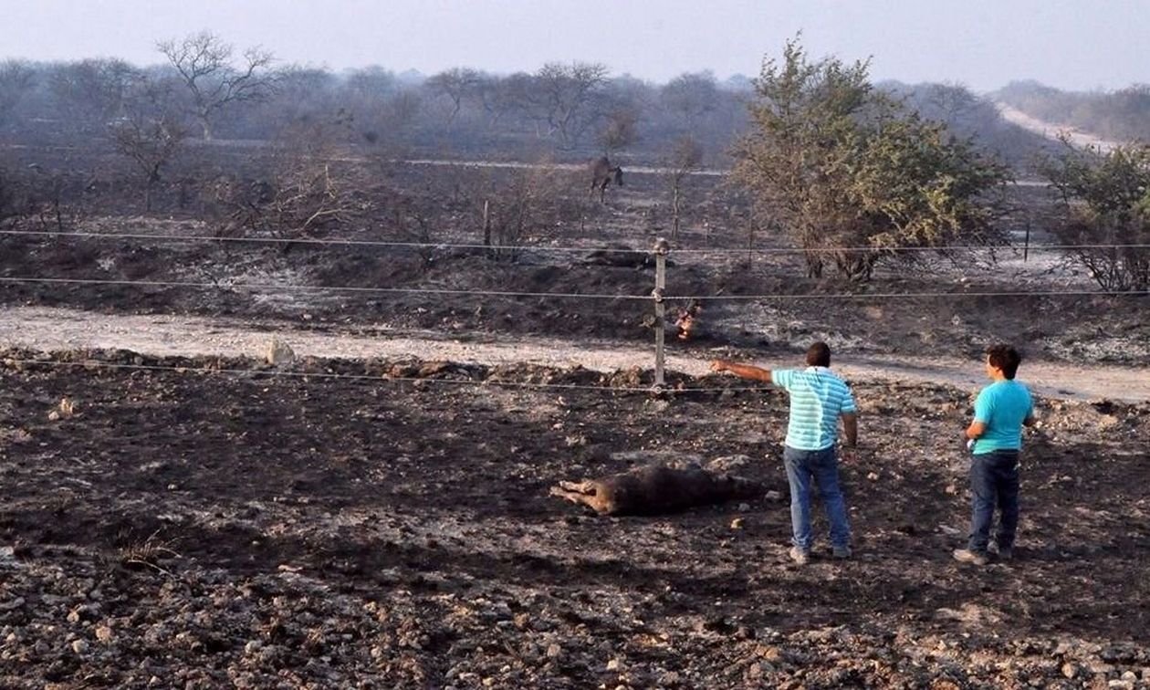Incendio Río Negro y La Pampa
