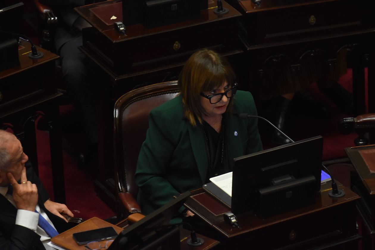 Patricia Bullrich.&nbsp;