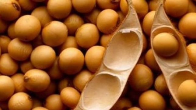 tras el reclamo de ruralistas, el gobierno elimina la ?clausula monsanto?