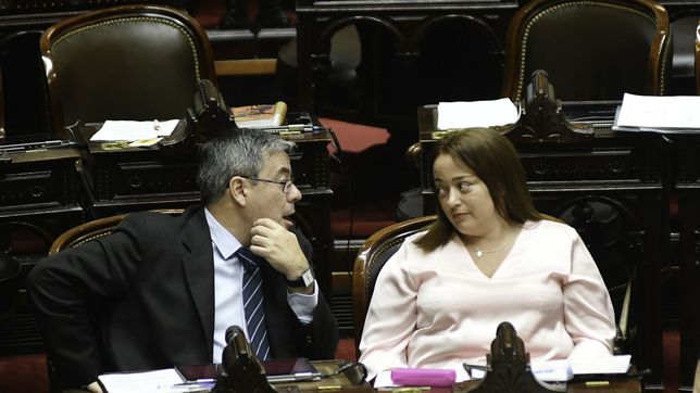 Germán Martínez y Cecilia Moreau, de Unión por la Patria, durante la sesión en la que se votó la interpelación a funcionarios de Javier Milei. 
