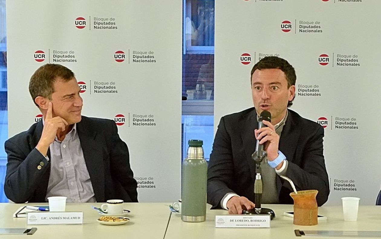 El diputado de Córdoba Rodrigo de Loredo y el politólogo Andrés Malamud compartirán living para plantear un perfil distinto del radicalismo al que propone el senador Martín Lousteau.