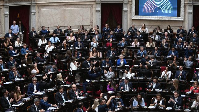 Ley penal juvenil: Diputados aprobó bajar la edad punible a 14 años y las provincias se niegan a financiarlo