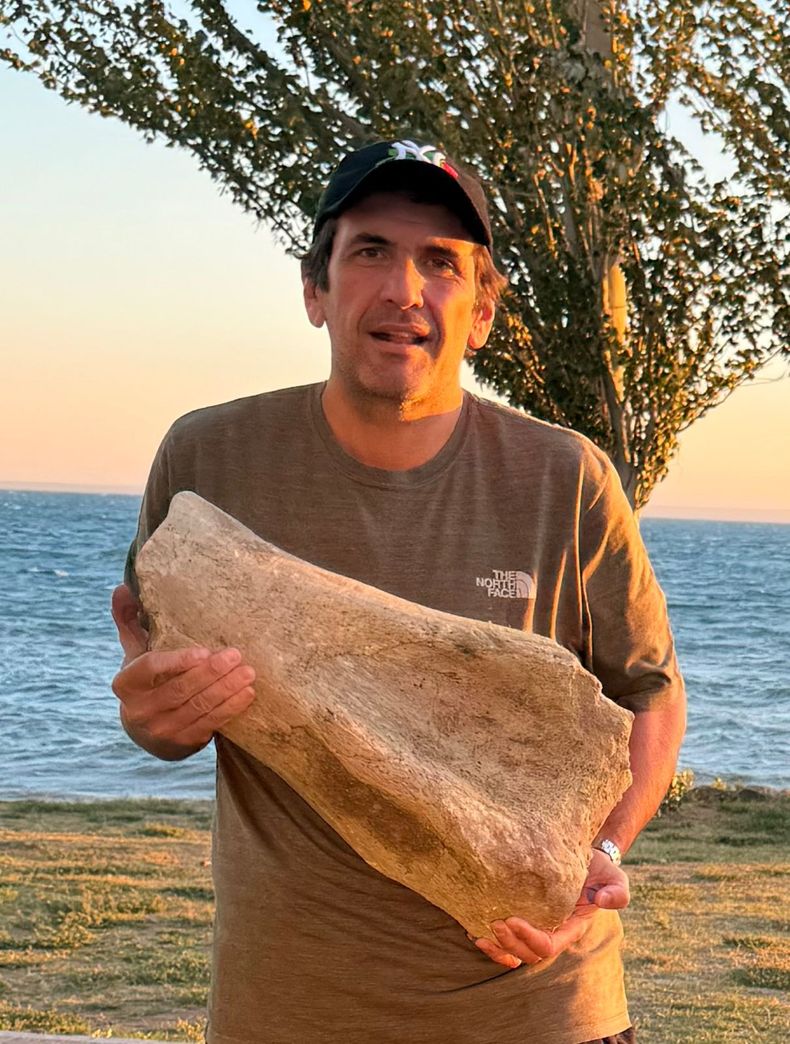Durante una caminata junto al río el senador encontró un hueso de dinosaurio.