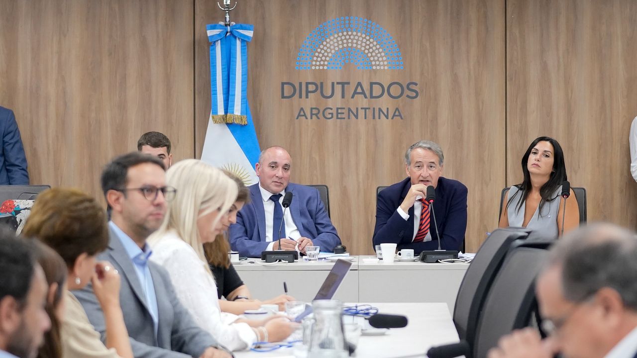 José Peluc y Nicolás Mayoraz (La Libertad Avanza), diputados que representan al Gobierno en la reforma de la ley de glaciares.&nbsp;