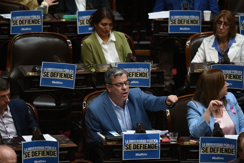 Germn Martnez y Cecilia Moreau autoridades de Unin por la Patria en Diputadosnbsp