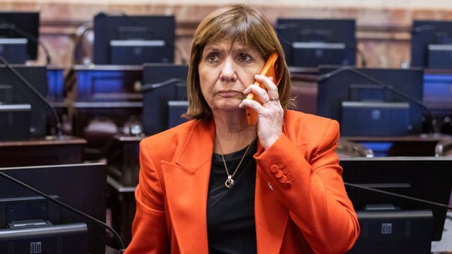 Patricia Bullrich tiene banca en la tropa libertaria, pero el centro y el PRO le dan la espalda