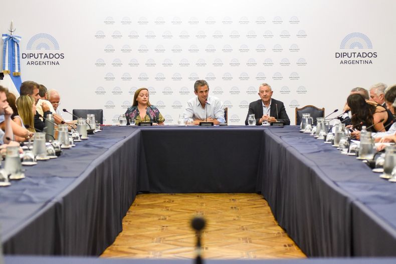 Martín Menem, en su primera reunión de labor parlamentaria, para tratar la Ley Ómnibus.&nbsp;