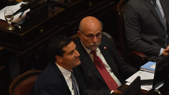 Maximiliano Abad, senador de la UCR